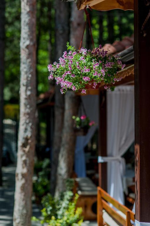 Hotel Park Bachinovo Blagoevgrad Exterior photo
